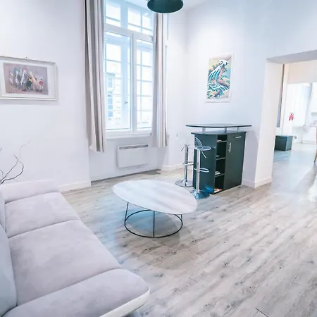 Spacieux & Confortable Au Coeur Du Centre-ville-aq *