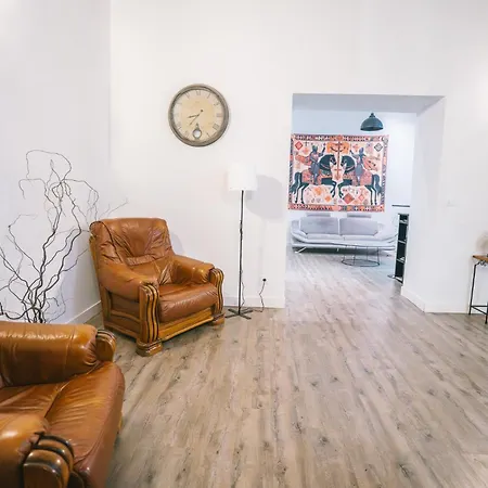 Spacieux & Confortable Au Coeur Du Centre-ville-aq Carcasona