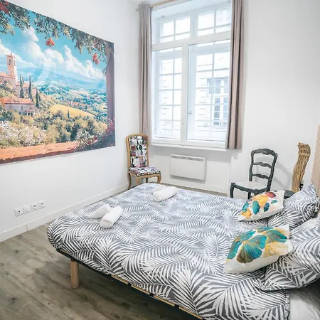 Spacieux & Confortable Au Coeur Du Centre-ville-aq Carcasona