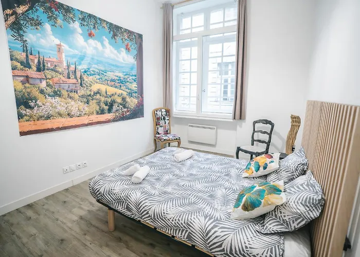 Spacieux & Confortable Au Coeur Du Centre-ville-aq Carcassonne